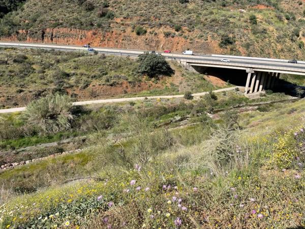 Terreno en Barrio Huerta Nueva - Jardín de Málaga photo 1
