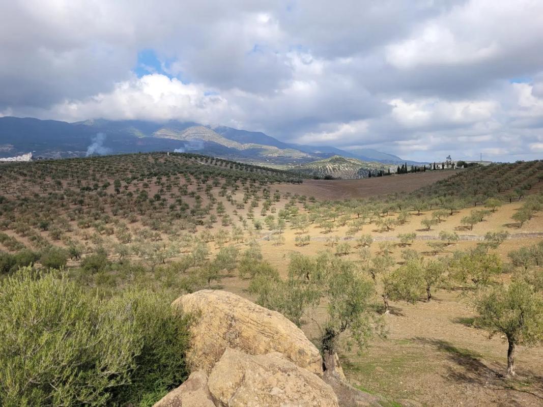 Terreno en venta en Alozaina, Malaga photo 1