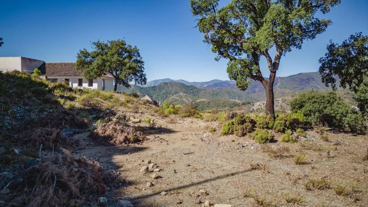 Terreno en venta en Benahavís, Malaga photo 2