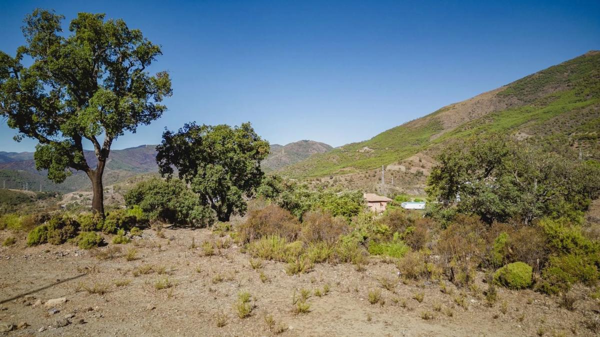 Terreno en venta en Benahavís, Malaga photo 4