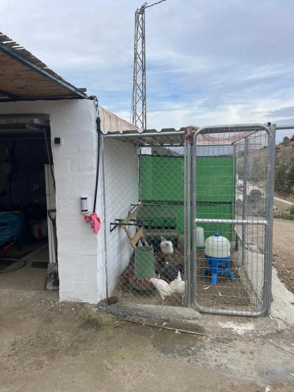 Terreno en venta en Canillas de Aceituno, Malaga photo 1