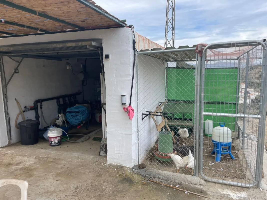 Terreno en venta en Canillas de Aceituno, Malaga photo 2