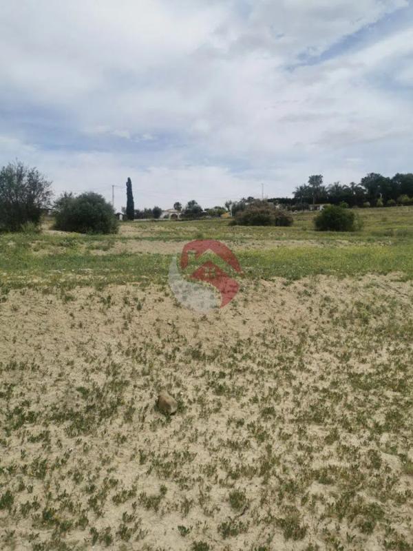 Land for sale in Cártama, Malaga photo 1