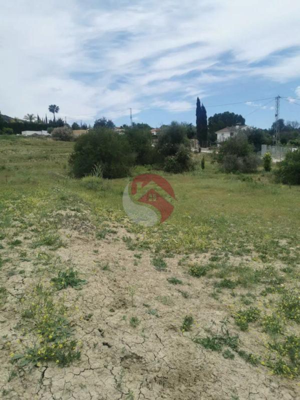Land for sale in Cártama, Malaga photo 2