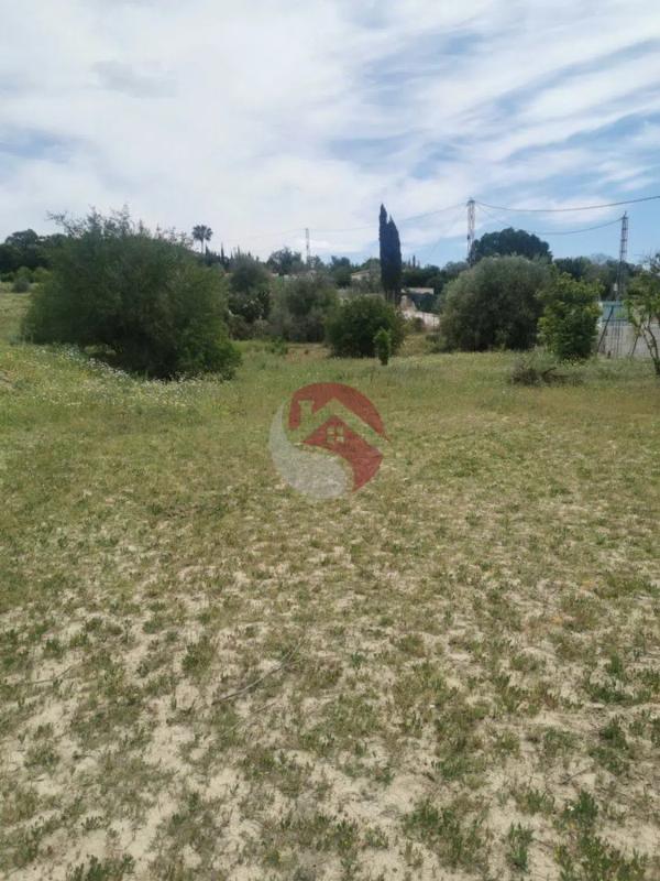 Land for sale in Cártama, Malaga photo 3