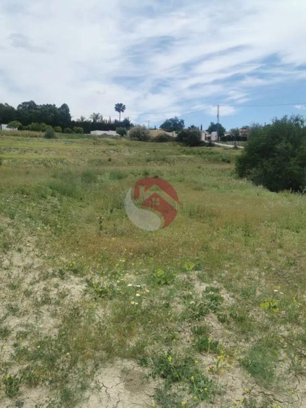 Land for sale in Cártama, Malaga photo 4