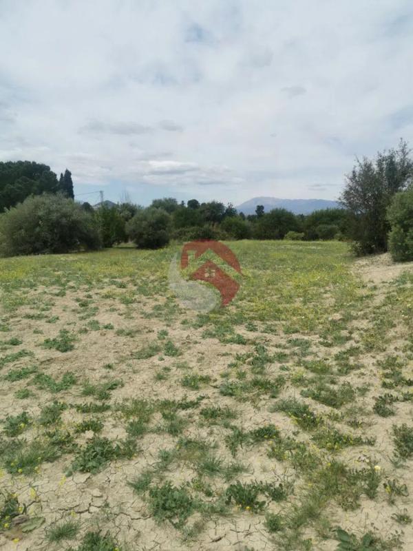 Land for sale in Cártama, Malaga photo 5