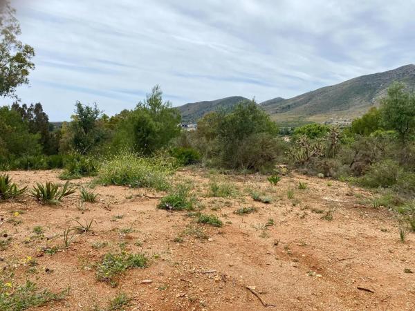 Terreno en El Pinar - Palacio de Congresos photo 1