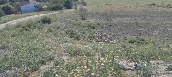Terreno en Estación photo 1