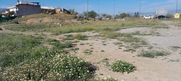 Terreno en Estación photo 3
