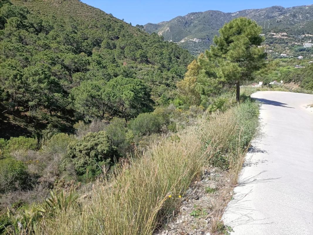 Działka na sprzedaż w Ojén, Malaga photo 3