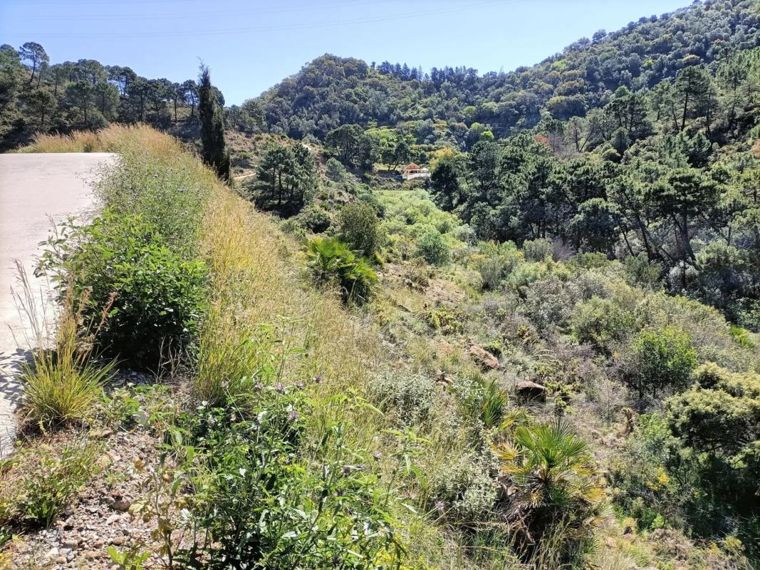 Działka na sprzedaż w Ojén, Malaga photo 5