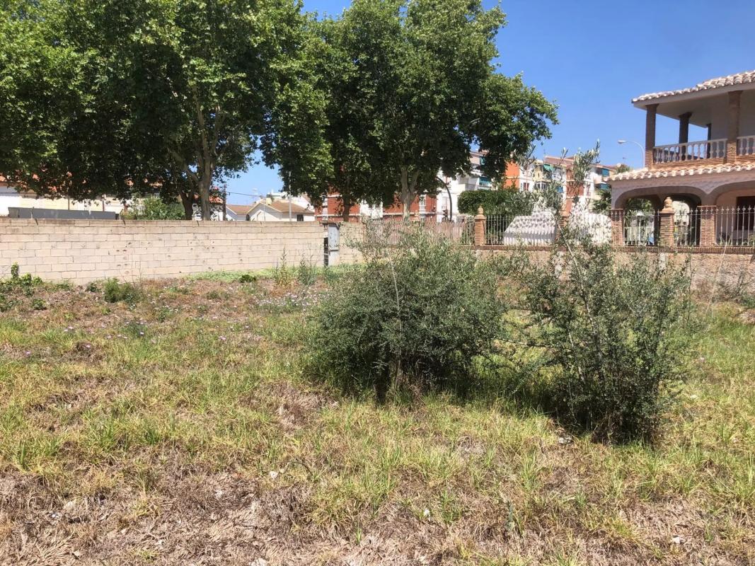Terreno en venta en Vélez-Malaga, Malaga photo 1