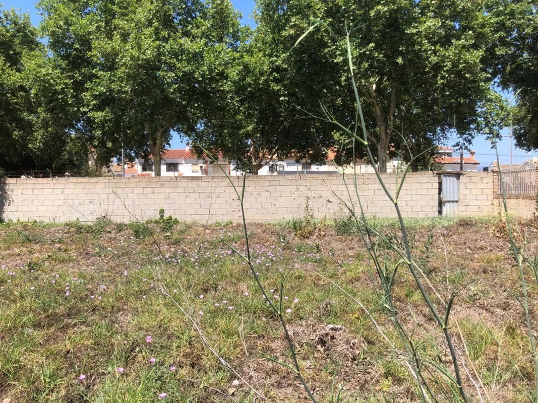 Terreno en venta en Vélez-Malaga, Malaga photo 2