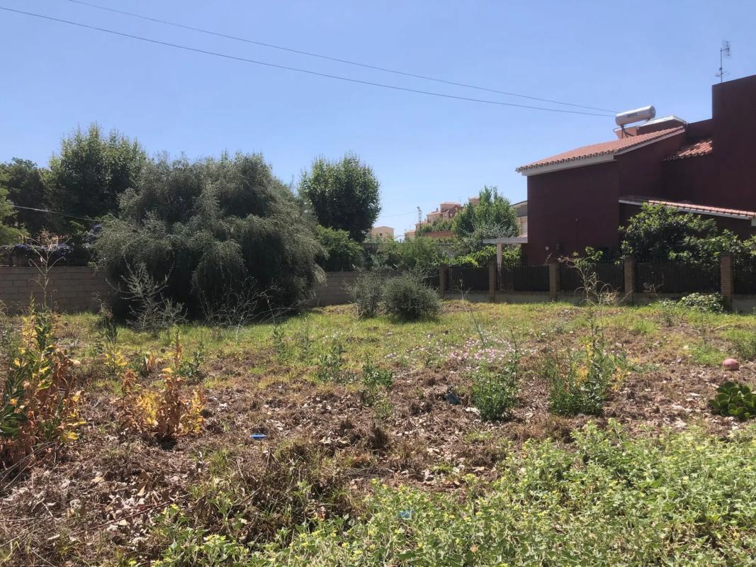 Terreno en venta en Vélez-Malaga, Malaga photo 5