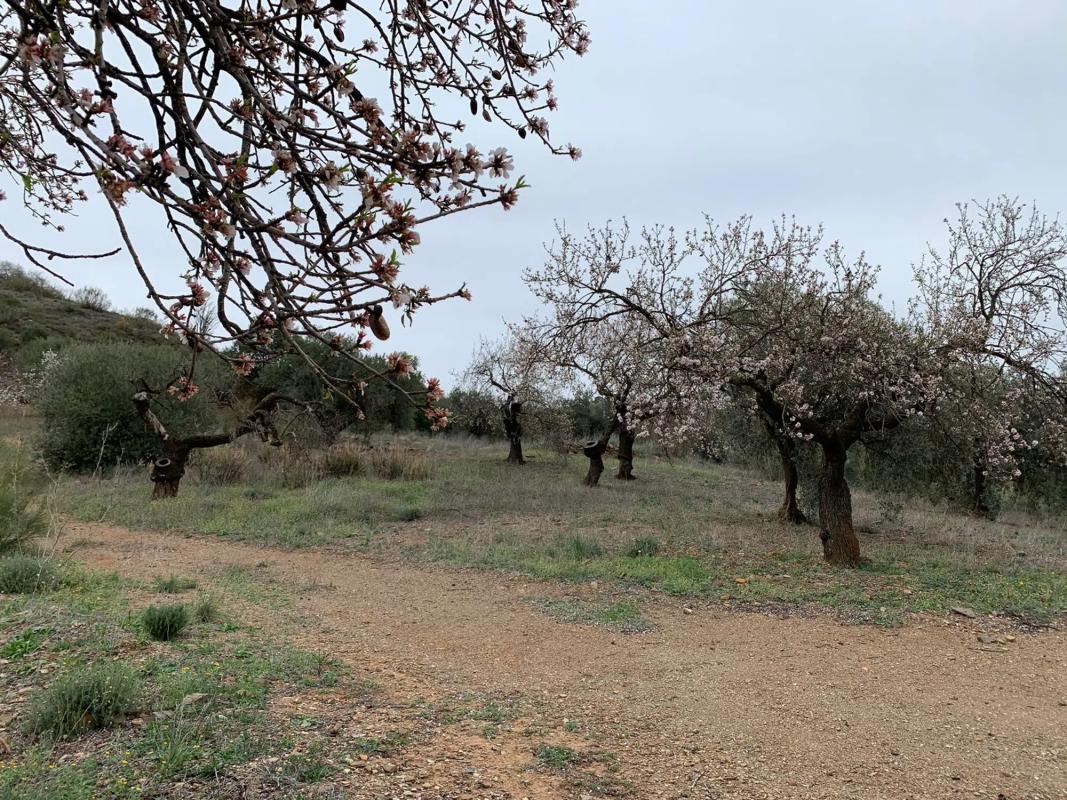 Terreno en venta en Colmenar, Malaga photo 1