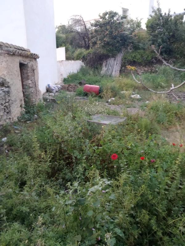 Terreno en venta en Canillas de Aceituno, Malaga photo 4