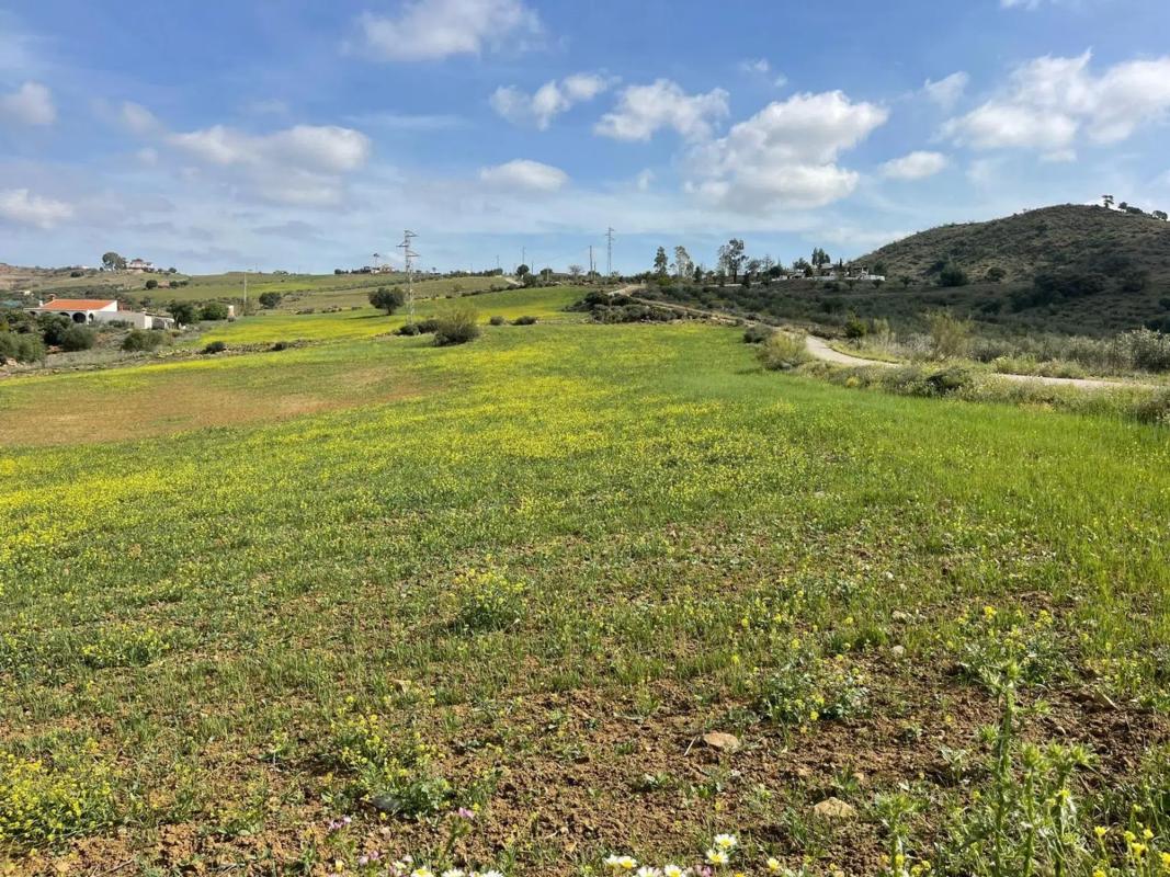 Terreno en venta en Cártama, Malaga photo 1