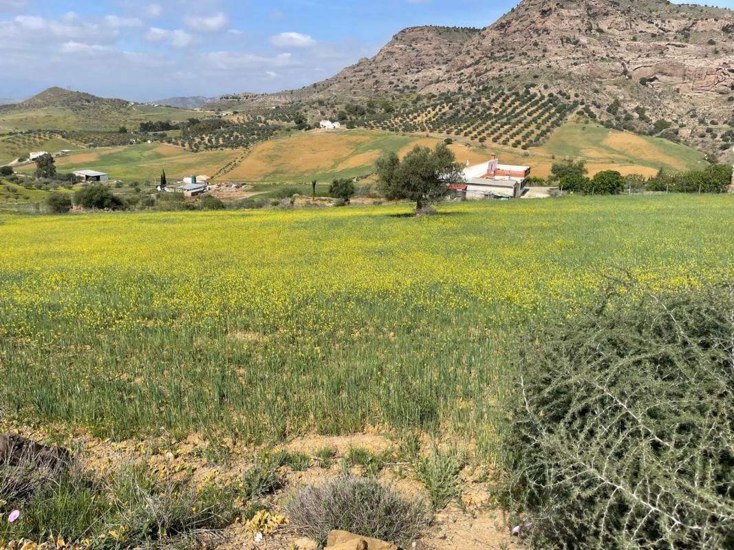 Terreno en venta en Cártama, Malaga photo 2