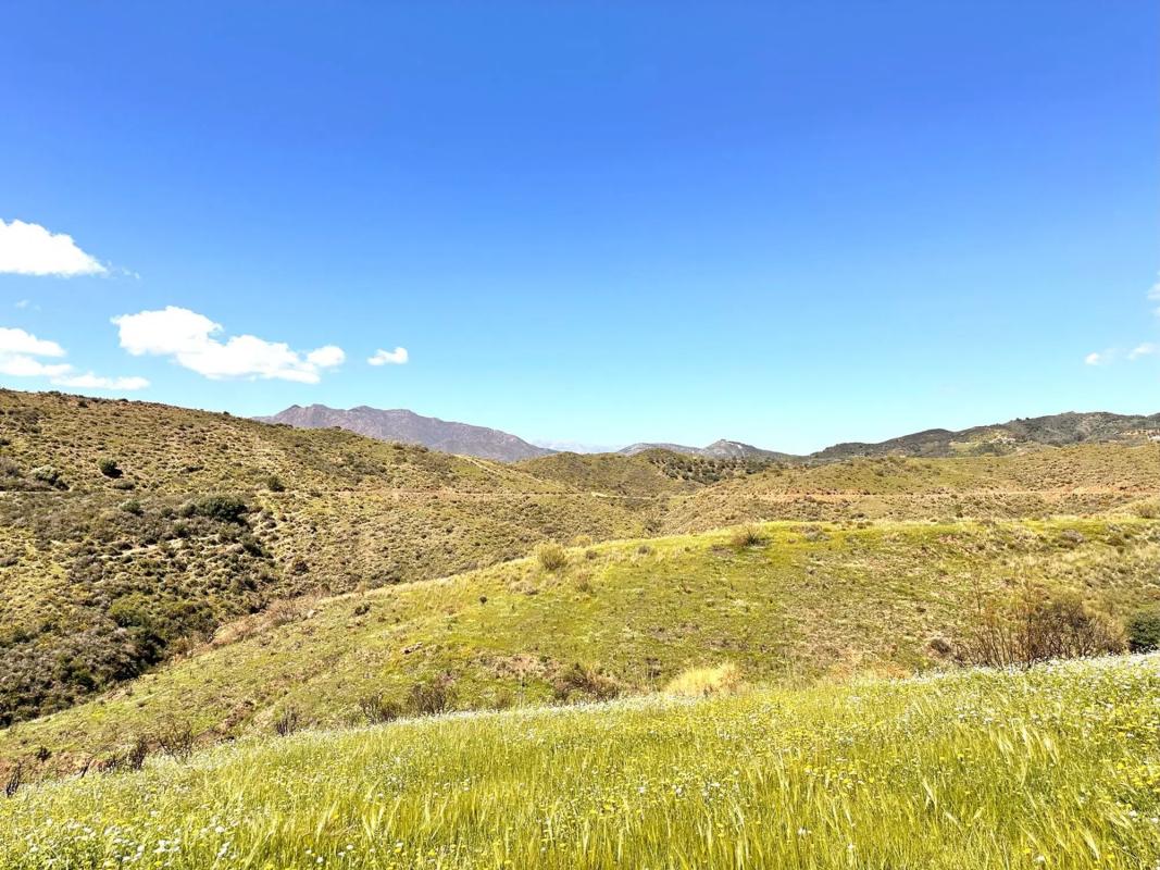 Terreno en venta en Mijas, Malaga photo 2