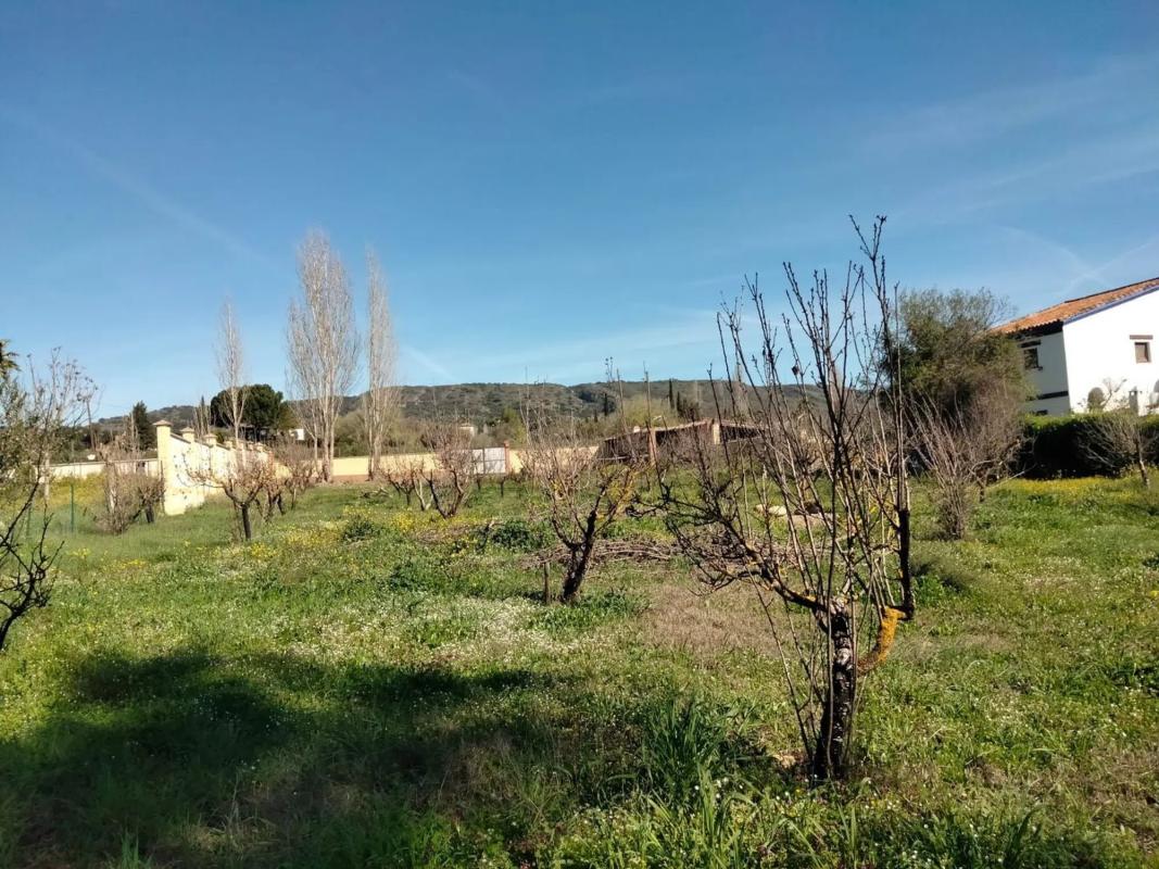 Terreno en venta en Ronda, Malaga photo 3