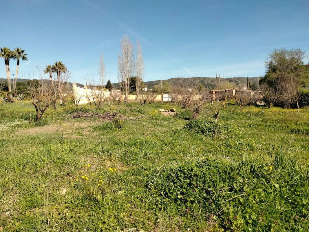 Terreno en venta en Ronda, Malaga photo 4
