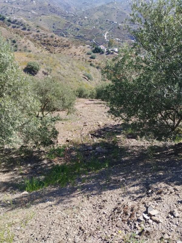 Terreno en venta en Viñuela, Malaga photo 4