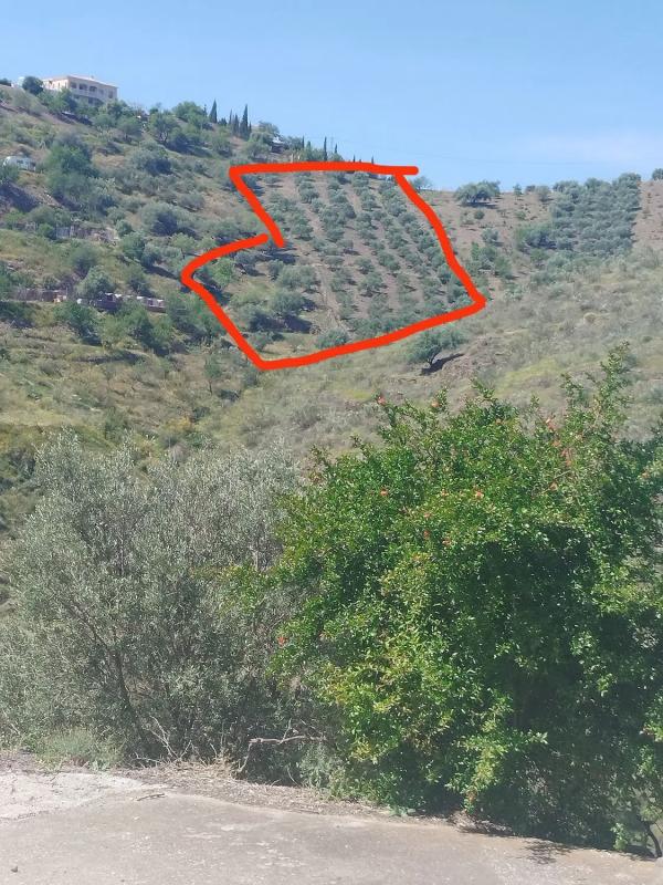 Terreno en venta en Viñuela, Malaga photo 5