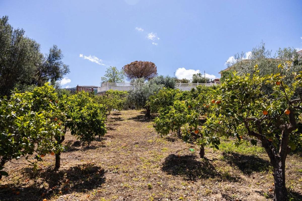Terreno en venta en Alhaurín de la Torre, Malaga photo 3