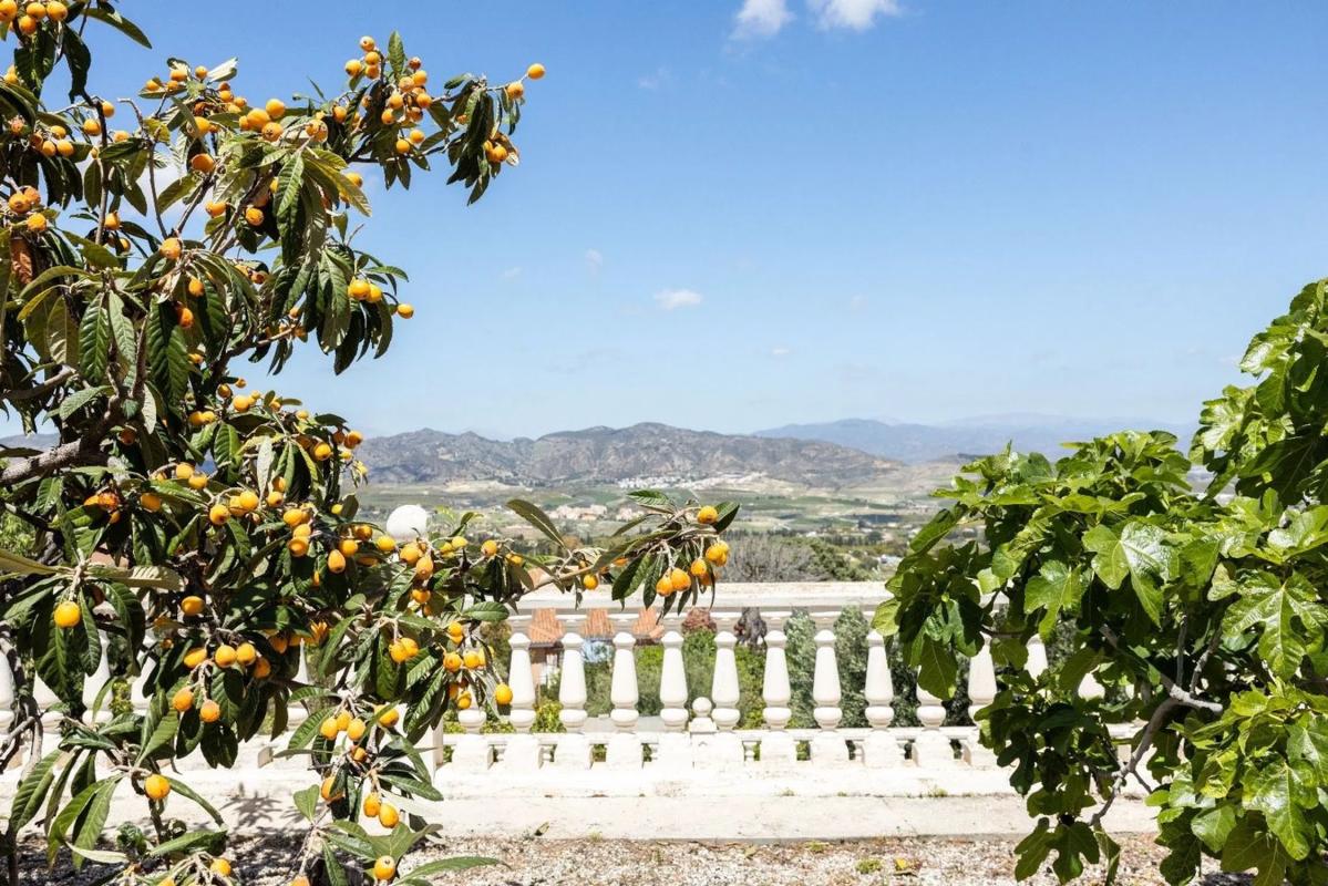 Terreno en venta en Alhaurín de la Torre, Malaga photo 4