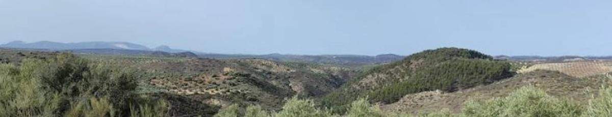 Terreno en venta en Alameda, Malaga photo 2