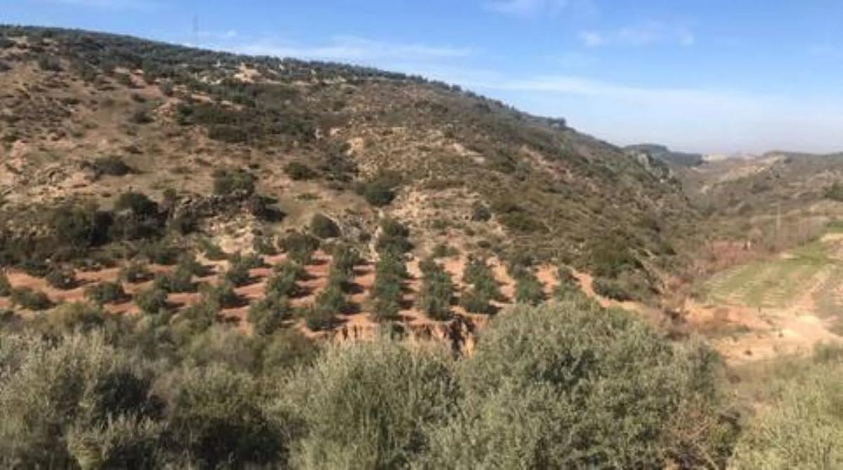 Land for sale in Alameda, Malaga photo 5