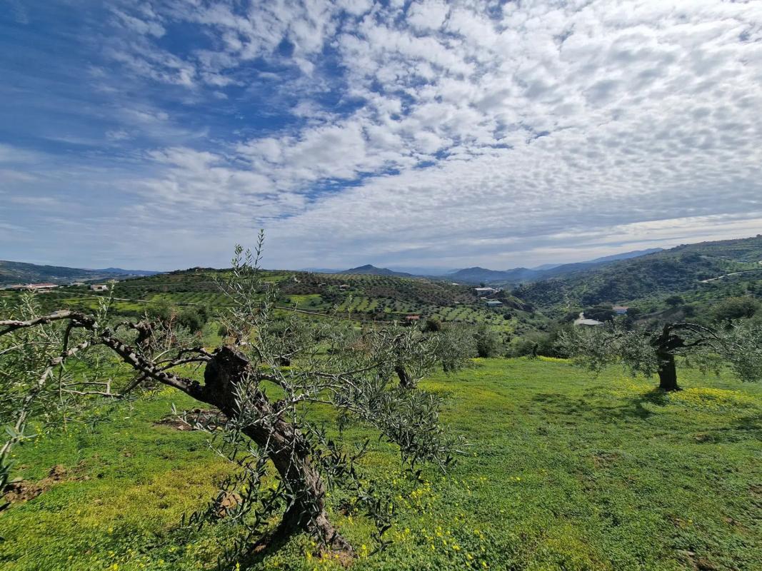 Terreno en venta en Tolox, Malaga photo 3