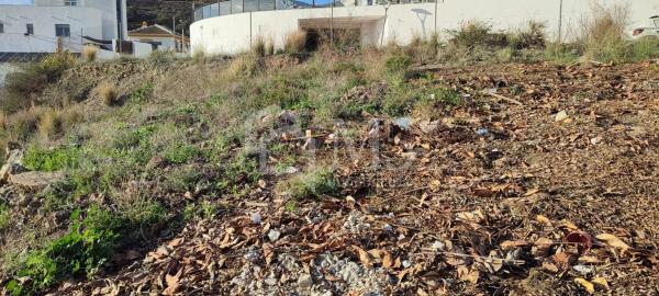 Terreno en Urbanización Santa Rosa photo 1