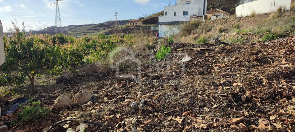 Działka na sprzedaż w Torrox, Malaga photo 3