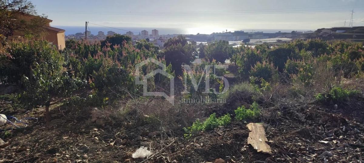 Działka na sprzedaż w Torrox, Malaga photo 4