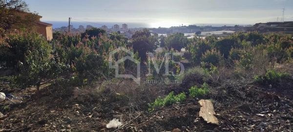 Terreno en Urbanización Santa Rosa photo 4