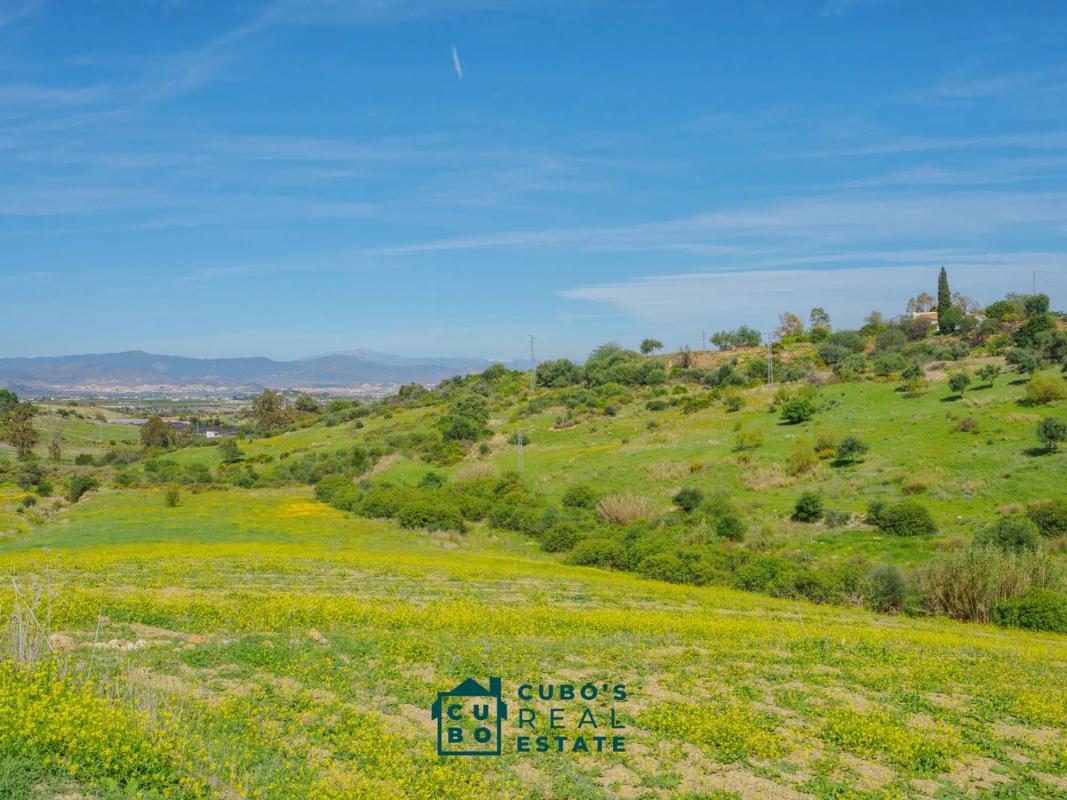 Land for sale in Alhaurín de la Torre, Malaga photo 2