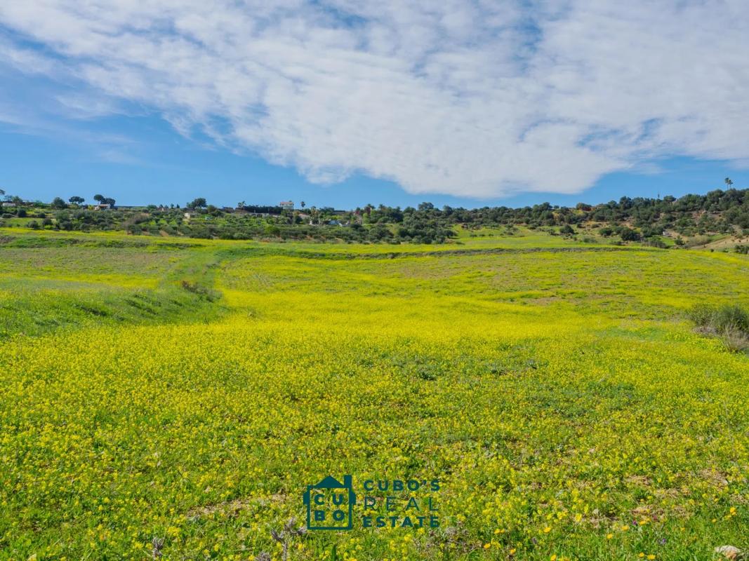 Land for sale in Alhaurín de la Torre, Malaga photo 3