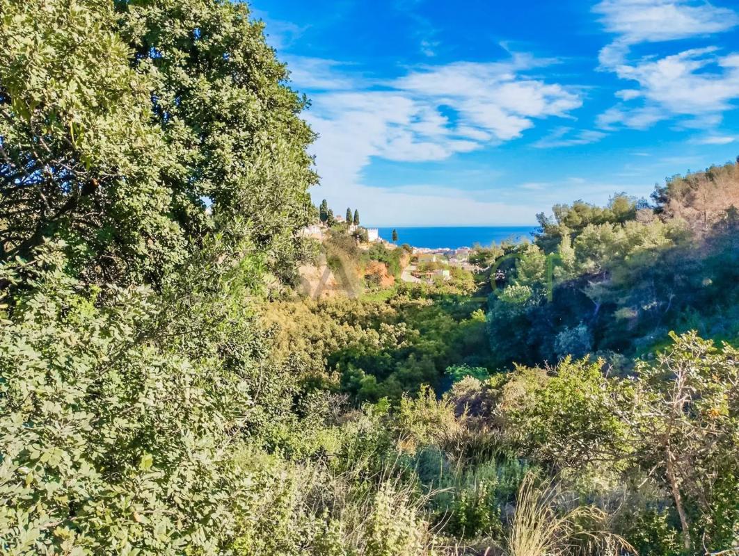 Terreno en venta en Frigiliana, Malaga photo 2