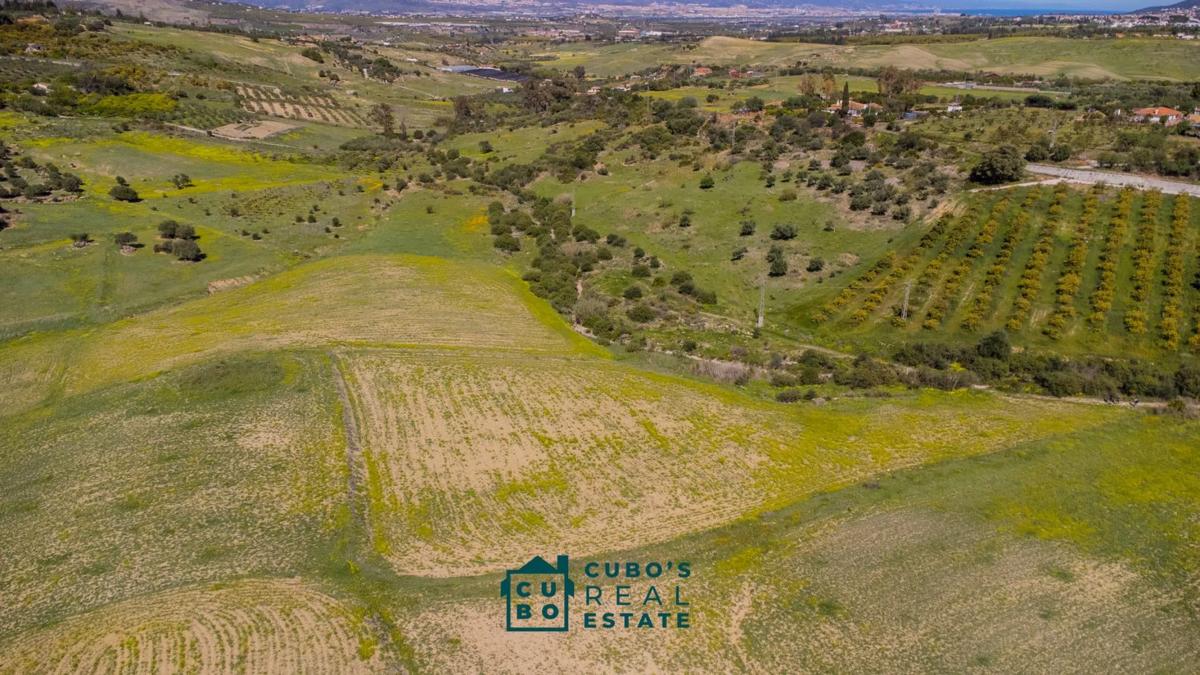 Land for sale in Alhaurín de la Torre, Malaga photo 4