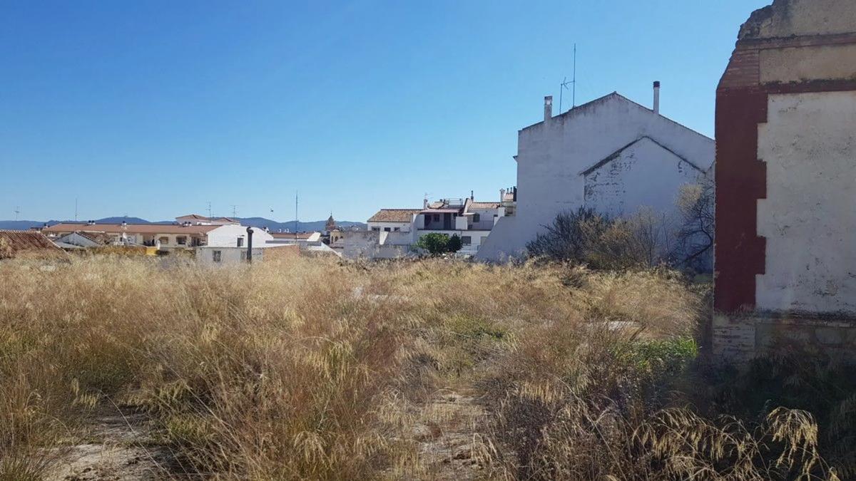 Terreno en venta en Antequera, Malaga photo 5