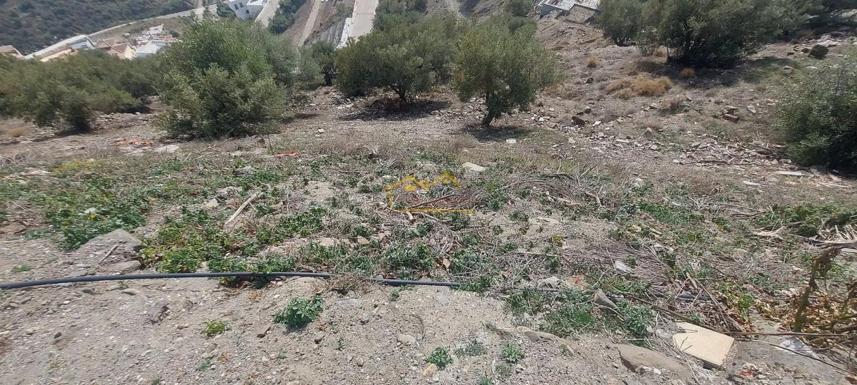 Land for sale in Torrox, Malaga photo 3