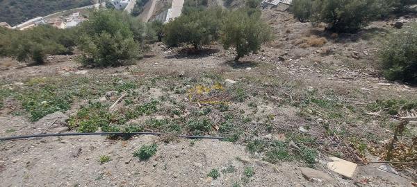 Terreno en Torrox Pueblo thumbnail 2