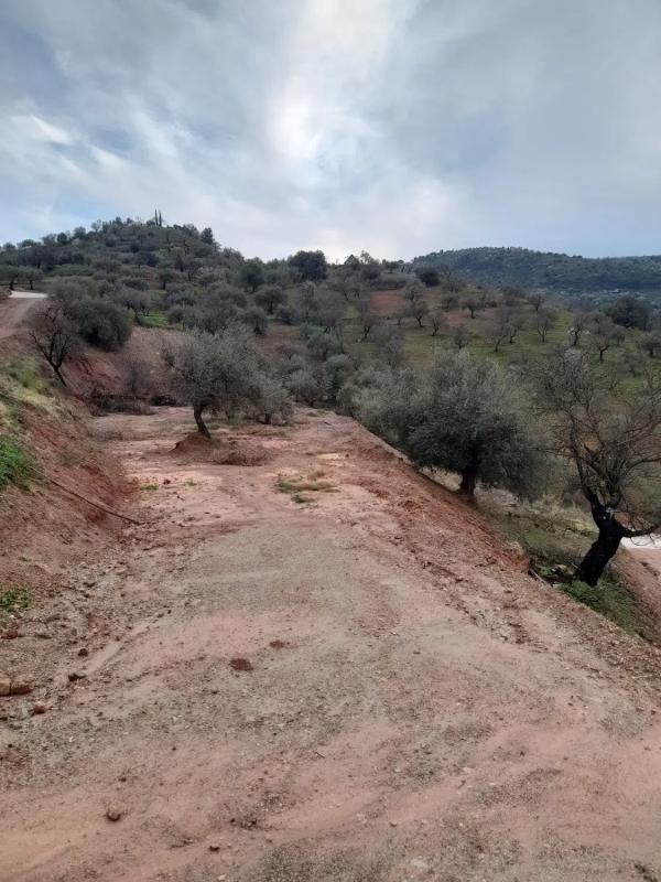 Land for sale in Guaro, Malaga photo 4
