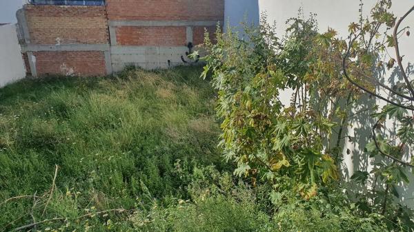 Terreno en Centro photo 2