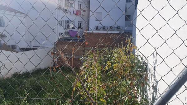 Terreno en Centro photo 3