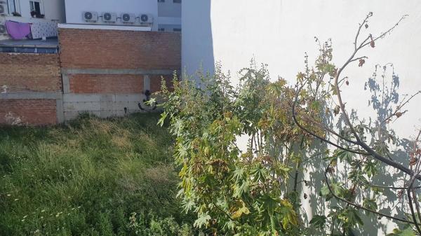 Terreno en Centro photo 4