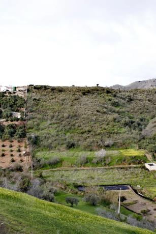 Terreno en Cortijo los Pérez s/n photo 2