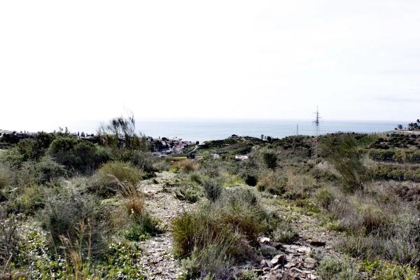 Terreno en Cortijo los Pérez s/n photo 3